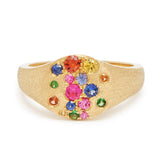Sapphire Scattered Rainbow Pinky Signet Ring in 14K Gold