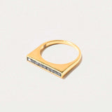 Michelle Gold Vermeil ring with thin diamond line and black diamond trim in 18k gold vermeil.