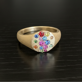 Sapphire Scattered Rainbow Pinky Signet Ring in 14K Gold